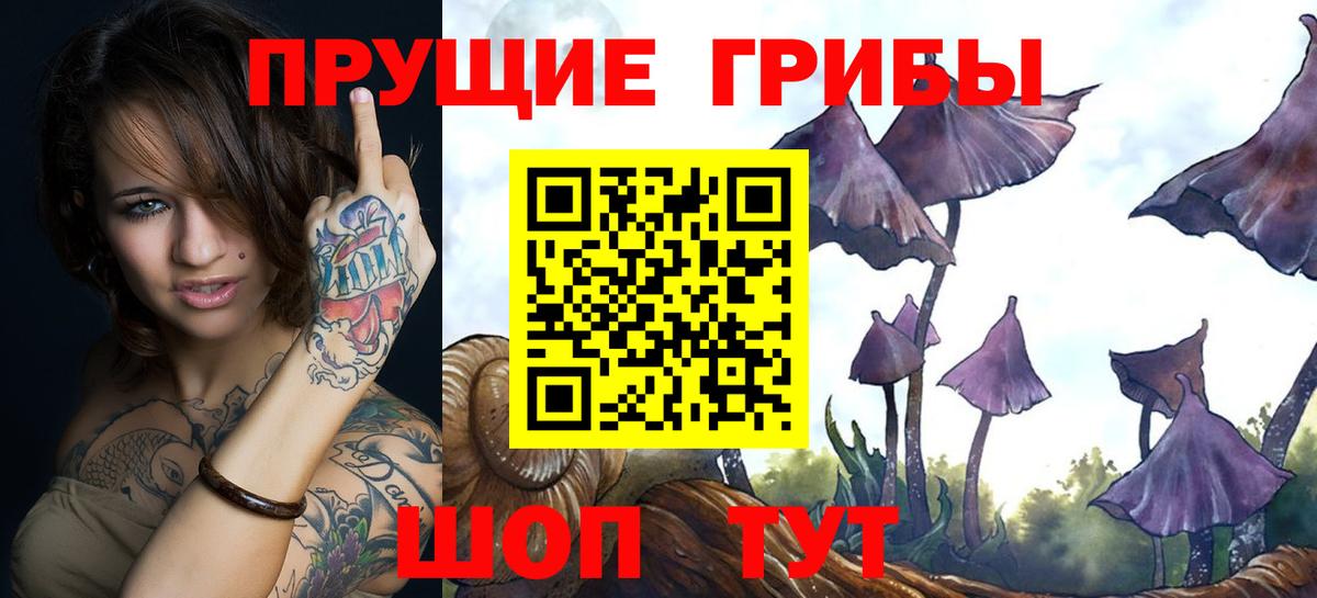 Галлюциногенные грибы ЛСД  цены   Усть-Илимск  Вход с VPN 